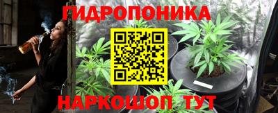 марихуана Лесосибирск
