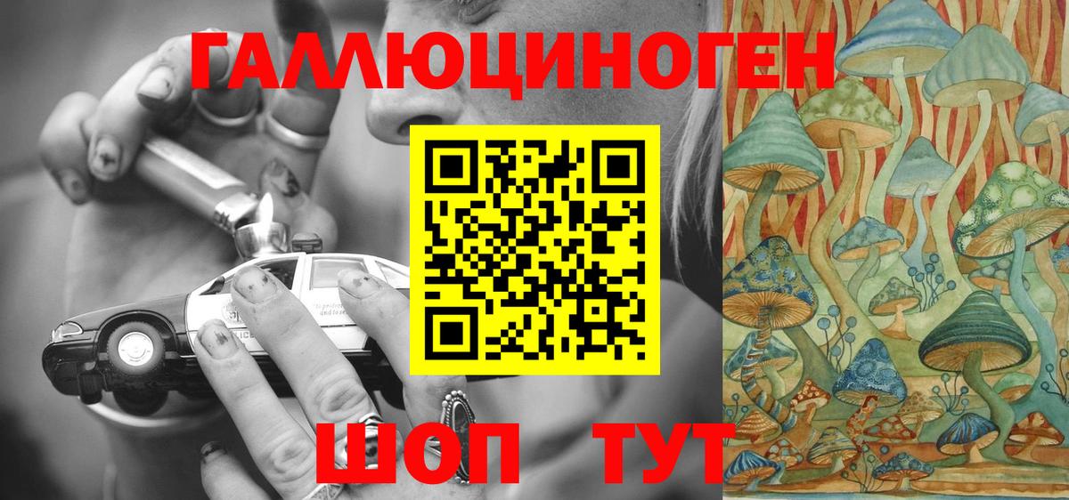 Галлюциногенные грибы Psilocybe  Вход с VPN  Псилоцибиновые грибы Psilocybine cubensis  Елабуга 